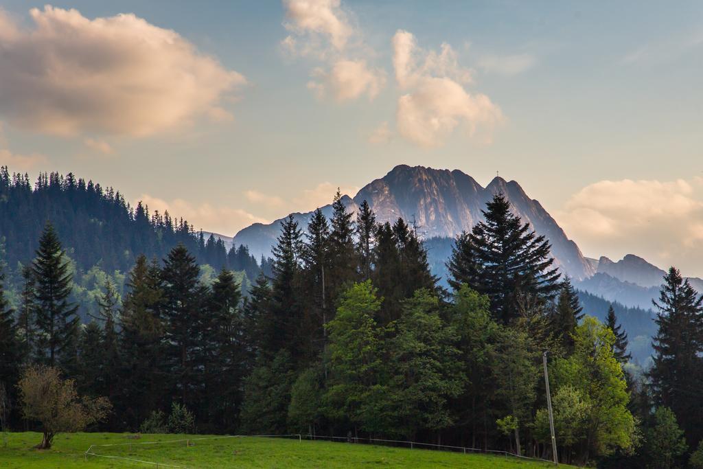 Willa Stachoniowka 2 Zakopane Bagian luar foto