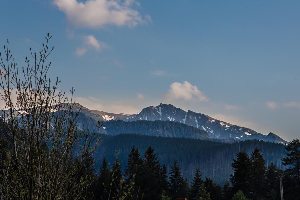 Willa Stachoniowka 2 Zakopane Bagian luar foto
